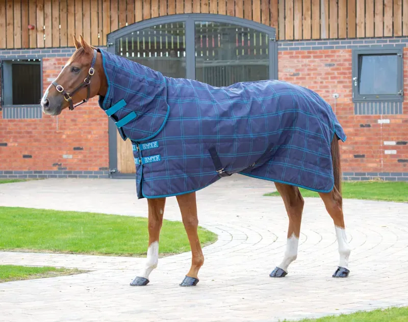 Tempest Plus 100 Stable Combo Rug in Blue