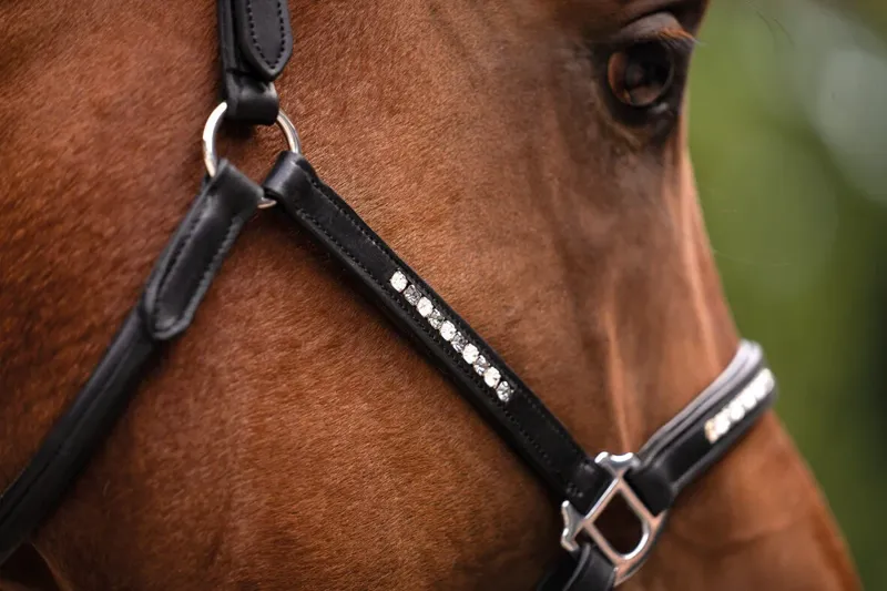 HKM Sparkle Leather Headcollar Black-1