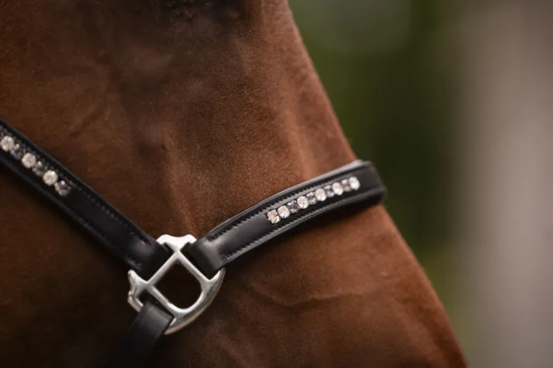 HKM Sparkle Leather Headcollar Black-2