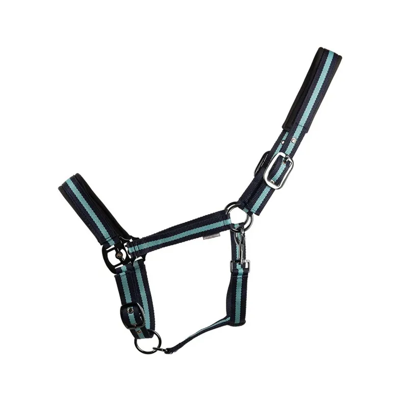 Hy Equestrian Ink Headcollar Navy/Teal
