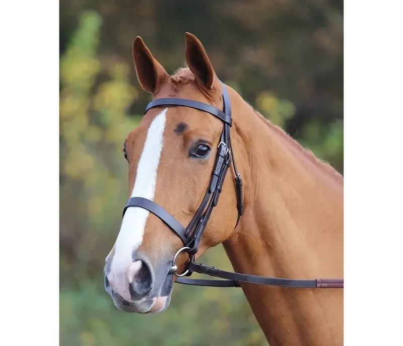 Velociti GARA Plain Bridle BLACK