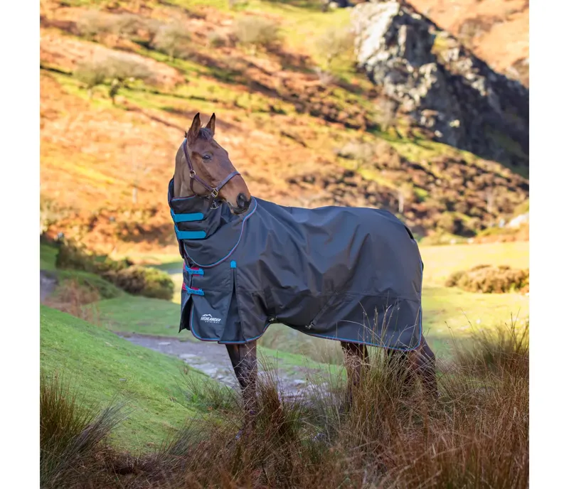 Highlander Original 200 Combo Turnout Rug