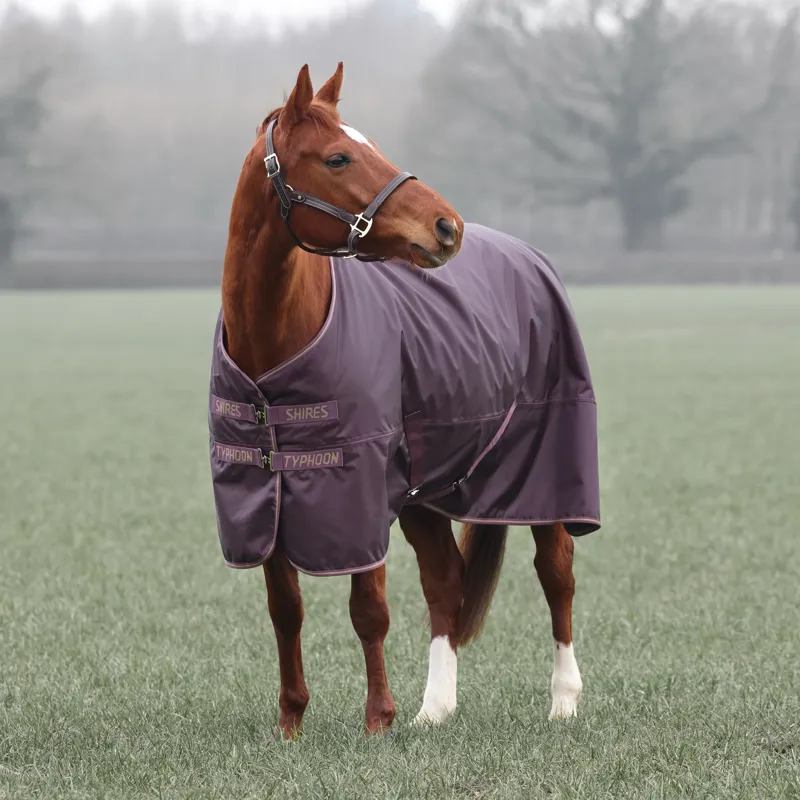Shires Typhoon 100 Turnout Rug Black Cherry