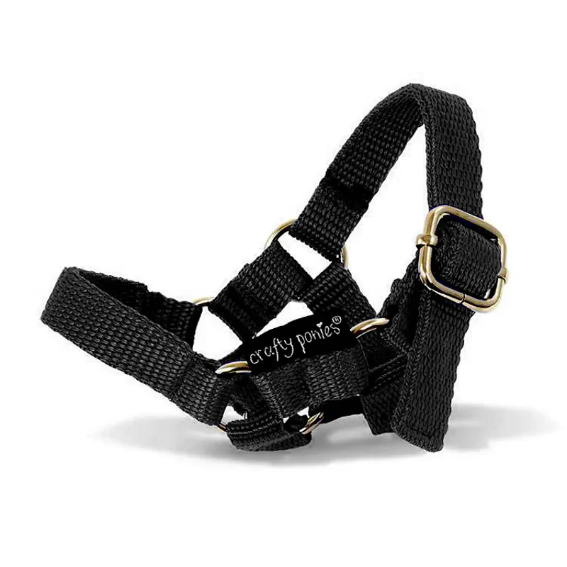 Crafty Ponies Head Collar-4