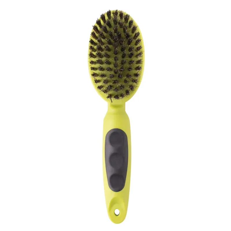 Bunty Dog Pin and Bristle Brush-1