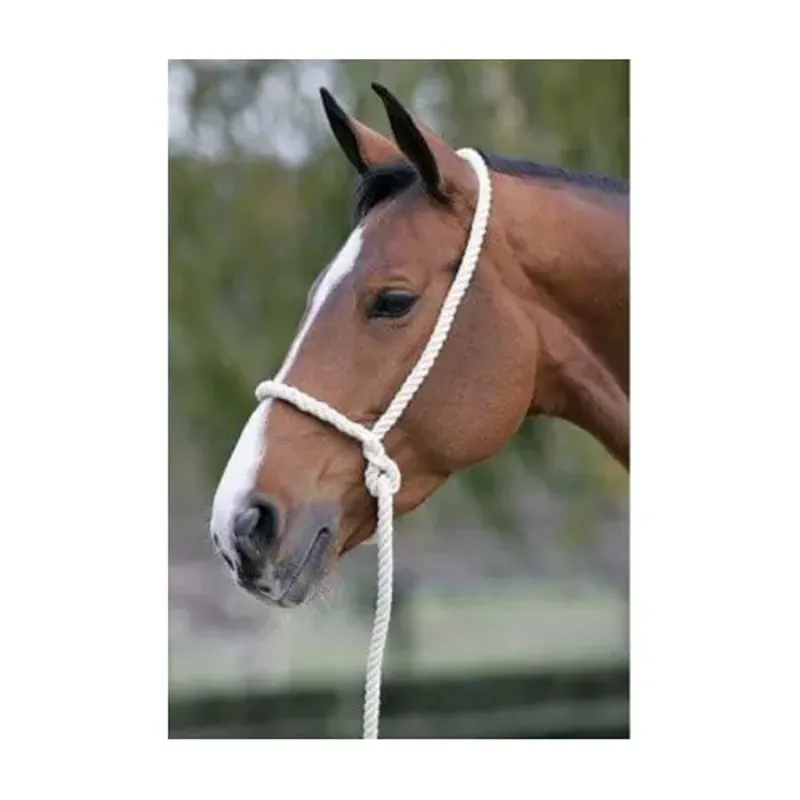 Sheldon Rope Halter One Size