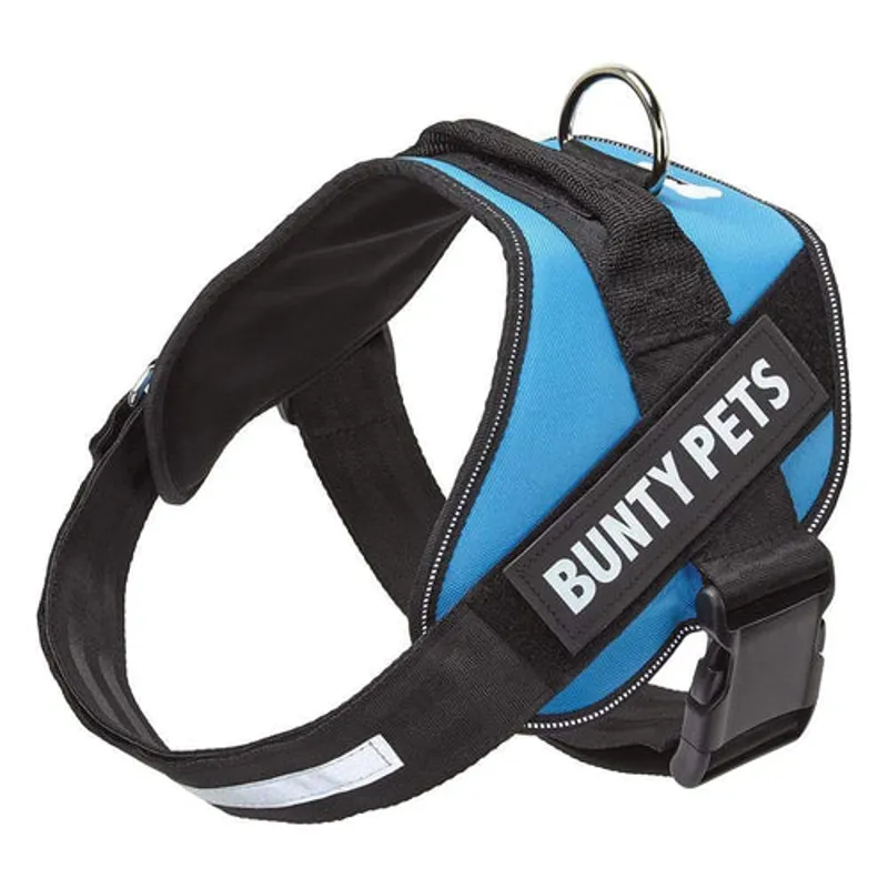 Bunty Yukon Harness XXL Blue